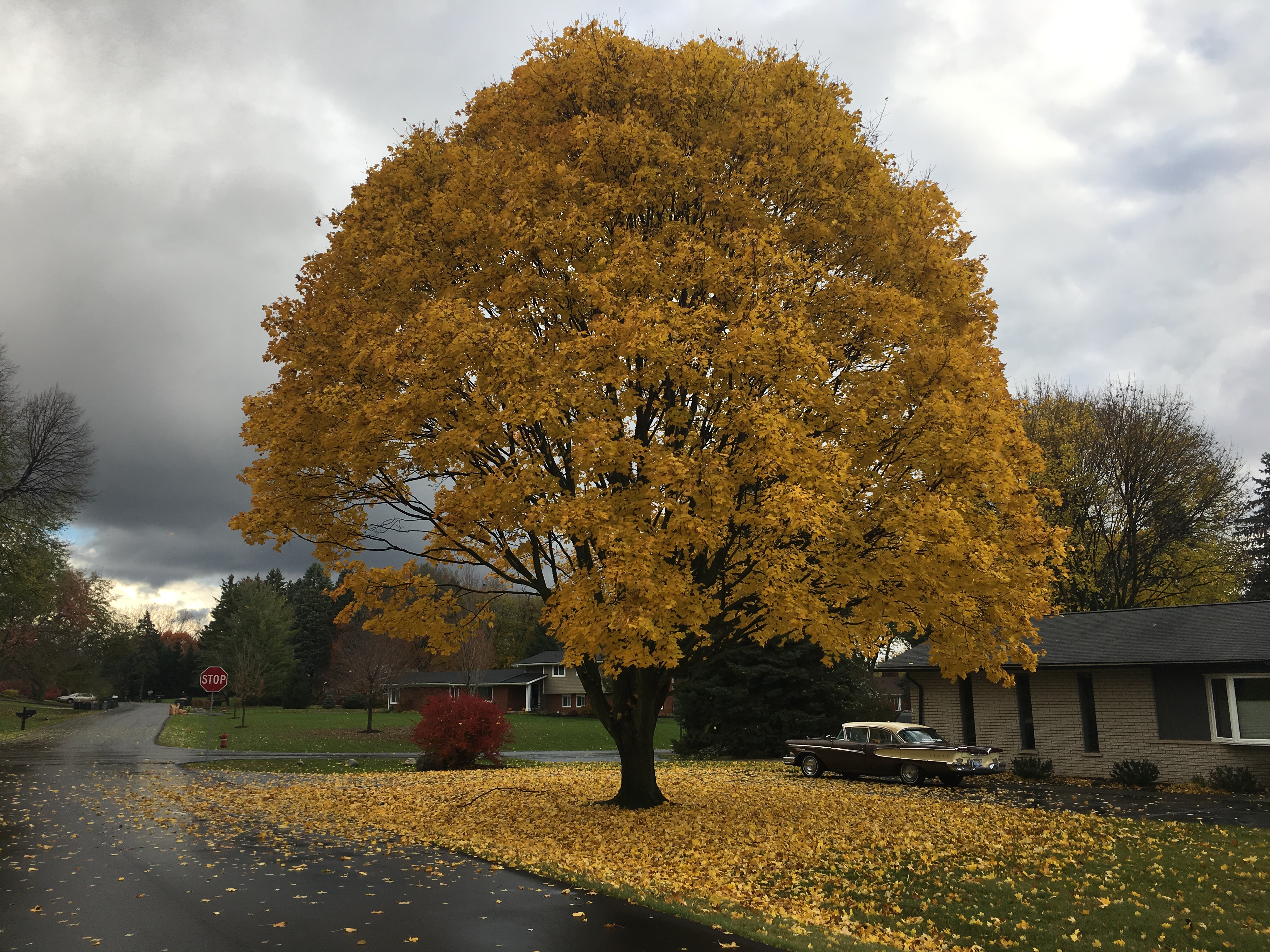 Spring Hill 2019 HOA Annual Meeting